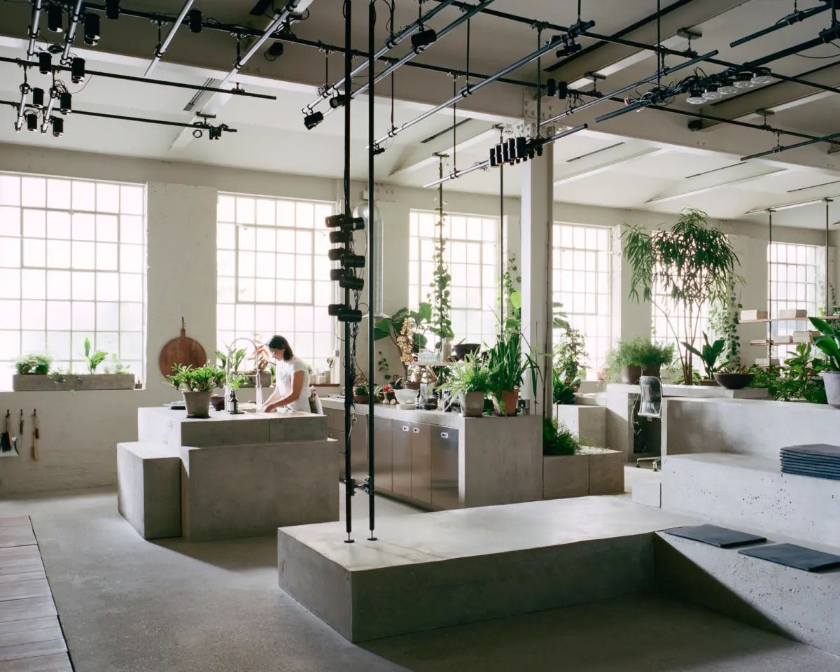 Light-filled London office with books, plants, and natural materials